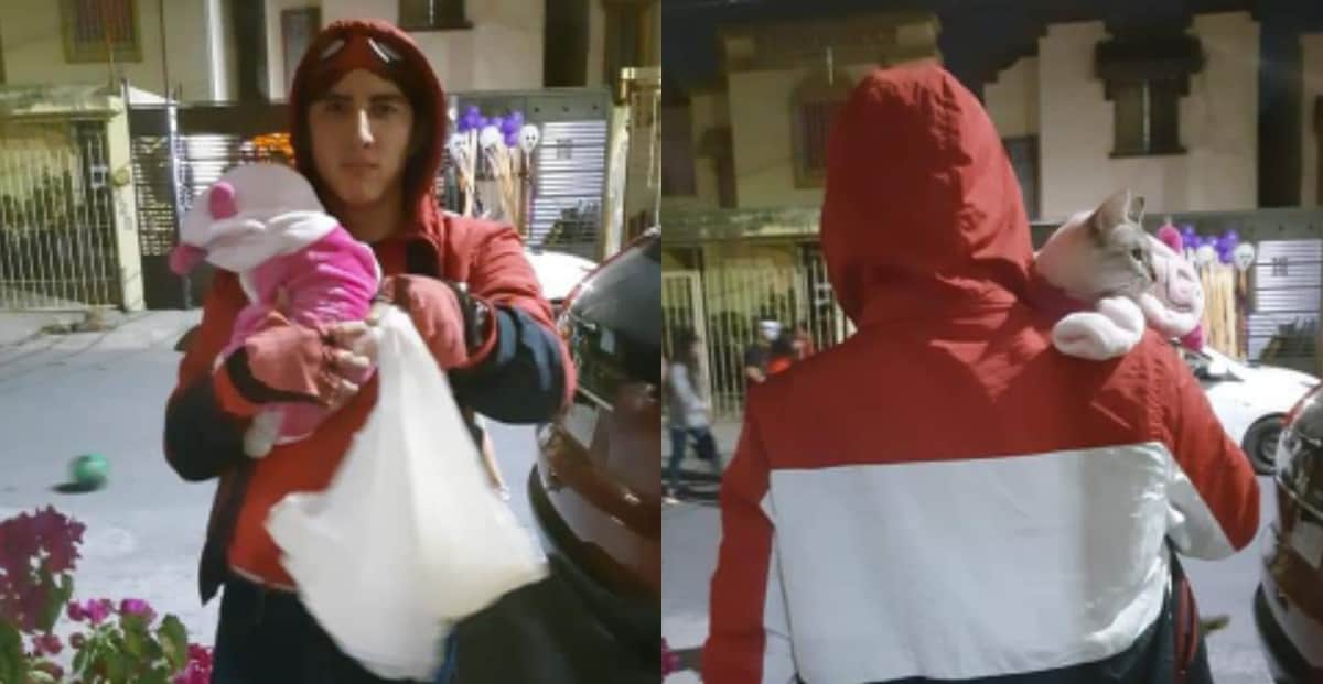 Alertan sobre joven que pide dulces para su bebé, que es un gatito y enternece a las redes