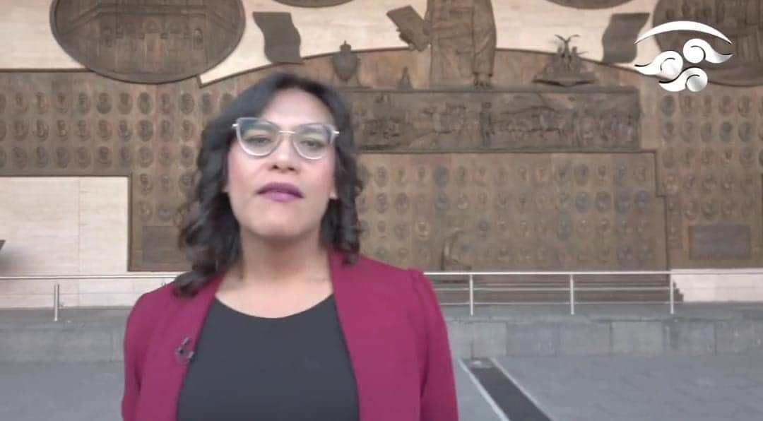 Video: Legisladora de Morena agrede a personal de la Cámara de Diputados