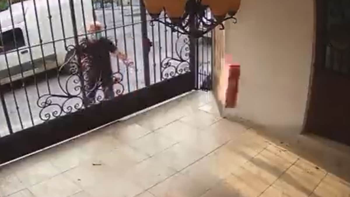 VIDEO: Denuncian a repartidor de Liverpool por dañar una laptop durante su entrega