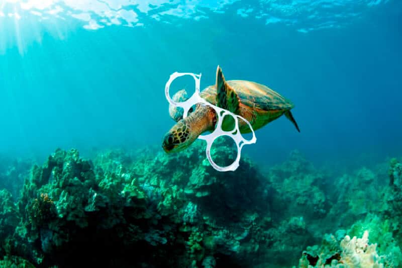 Grupo Modelo eliminará anillos de plástico en sus latas de cerveza en Quintana Roo