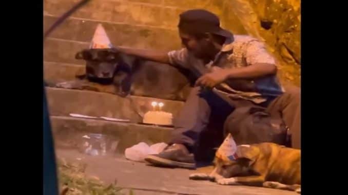 VIDEO VIRAL: Con pastel incluido, un hombre le celebró el cumpleaños a sus perritos