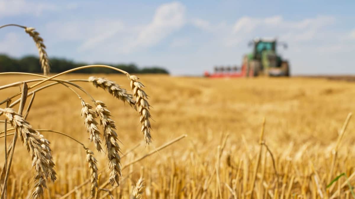 Invasión de Rusia a Ucrania tendrá impacto en empresas mexicanas por aumentos en materias primas