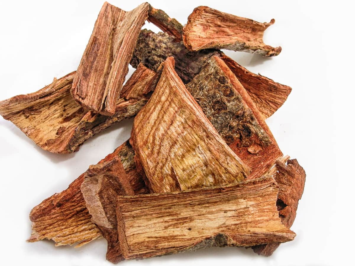 Cuachalalate: La planta mexicana que ayuda en tratamientos contra el cáncer