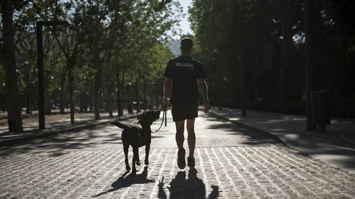 Hombre se quita la vida luego de que envenenaron a su perro