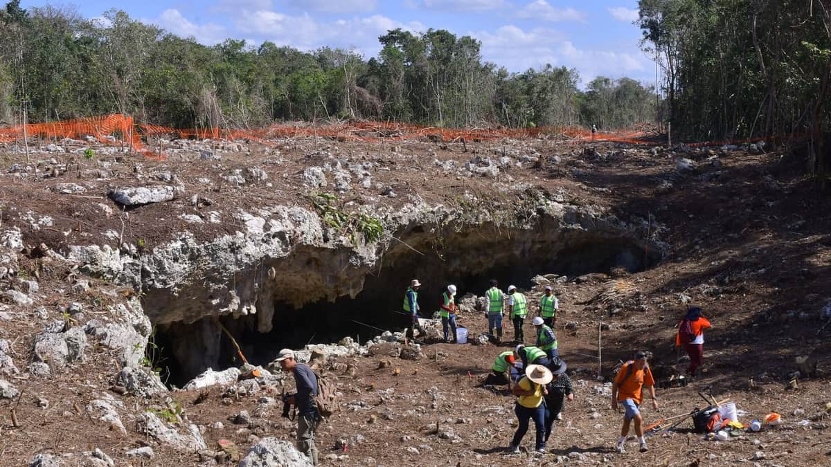 SEMARNAT reconoce que no hay Manifestación de Impacto Ambiental para el Trazo 5 del Tren Maya