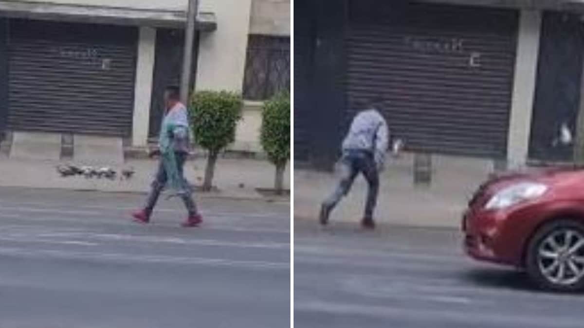 VIDEO: Captan a hombre pescando palomas en CDMX y preguntan para qué