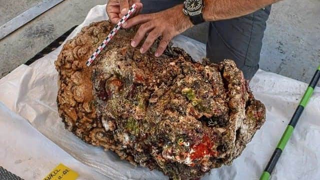 Hallan cabeza de Hércules de dos mil años de antigüedad