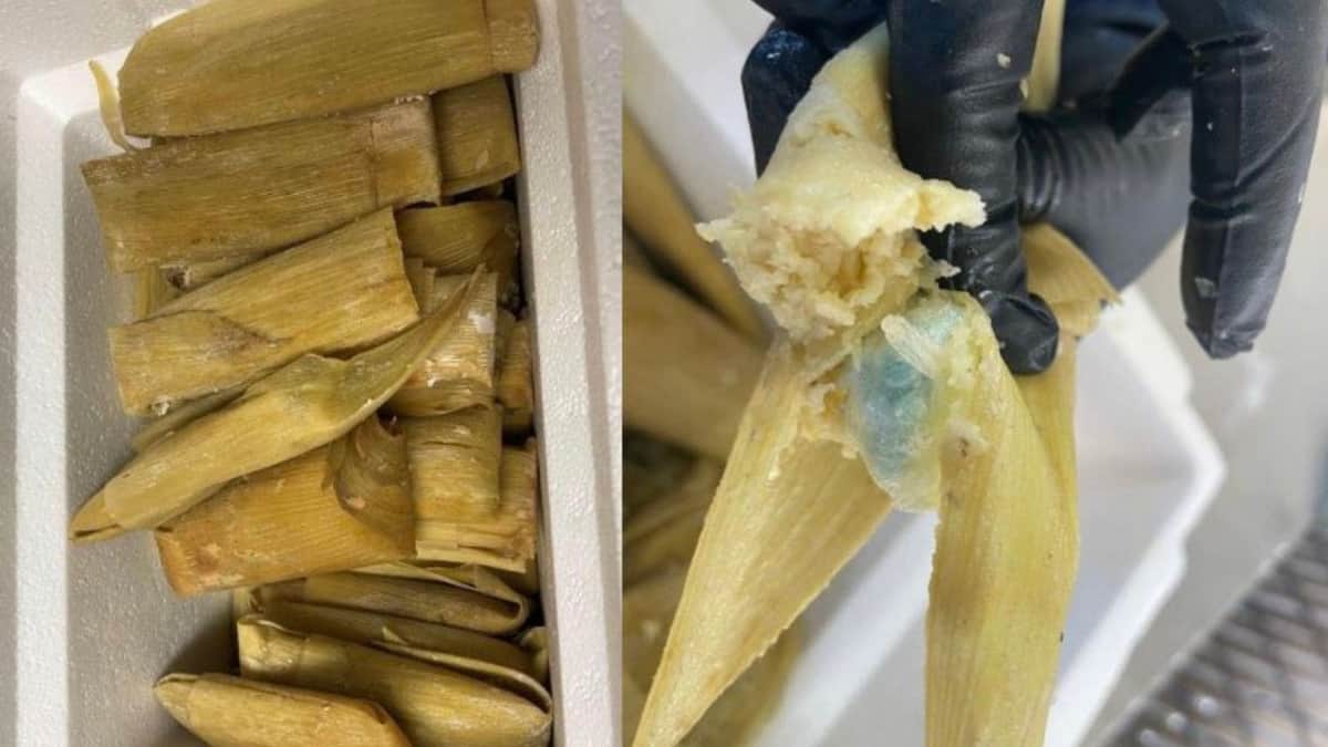 Detienen a sujeto que intentó cruzar la frontera con tamales rellenos de fentanilo