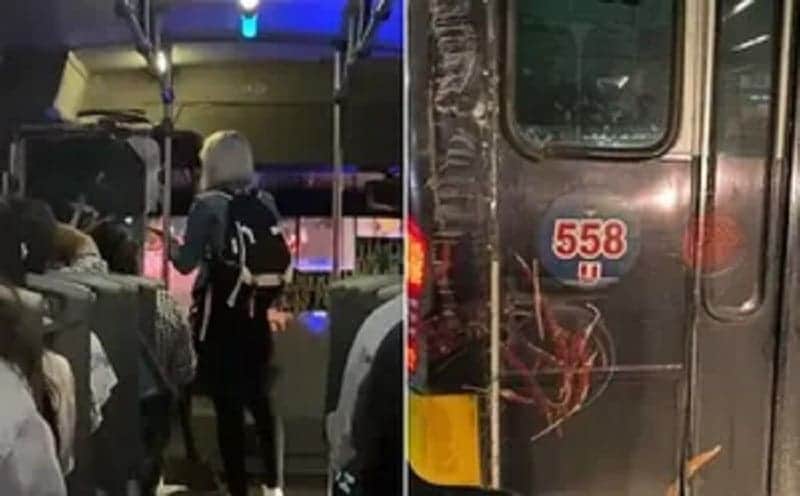 Video: Joven se equivoca de autobús y es agredida por el conductor en Veracruz