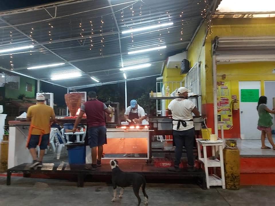 "Pateaban a la perrita": Denuncian en redes a taquería en Playa del Carmen por maltrato animal