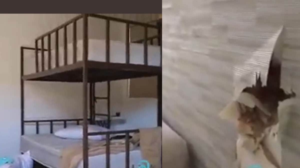 VIDEO: Exhiben casa saqueada donde vivía Ovidio Guzmán junto a su familia