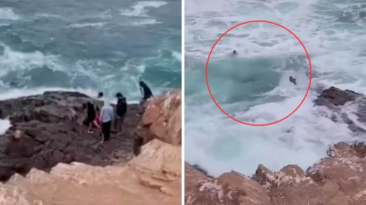 VIDEO: Turistas entran a zona prohibida en una playa en Baja California y el mar los arrastra