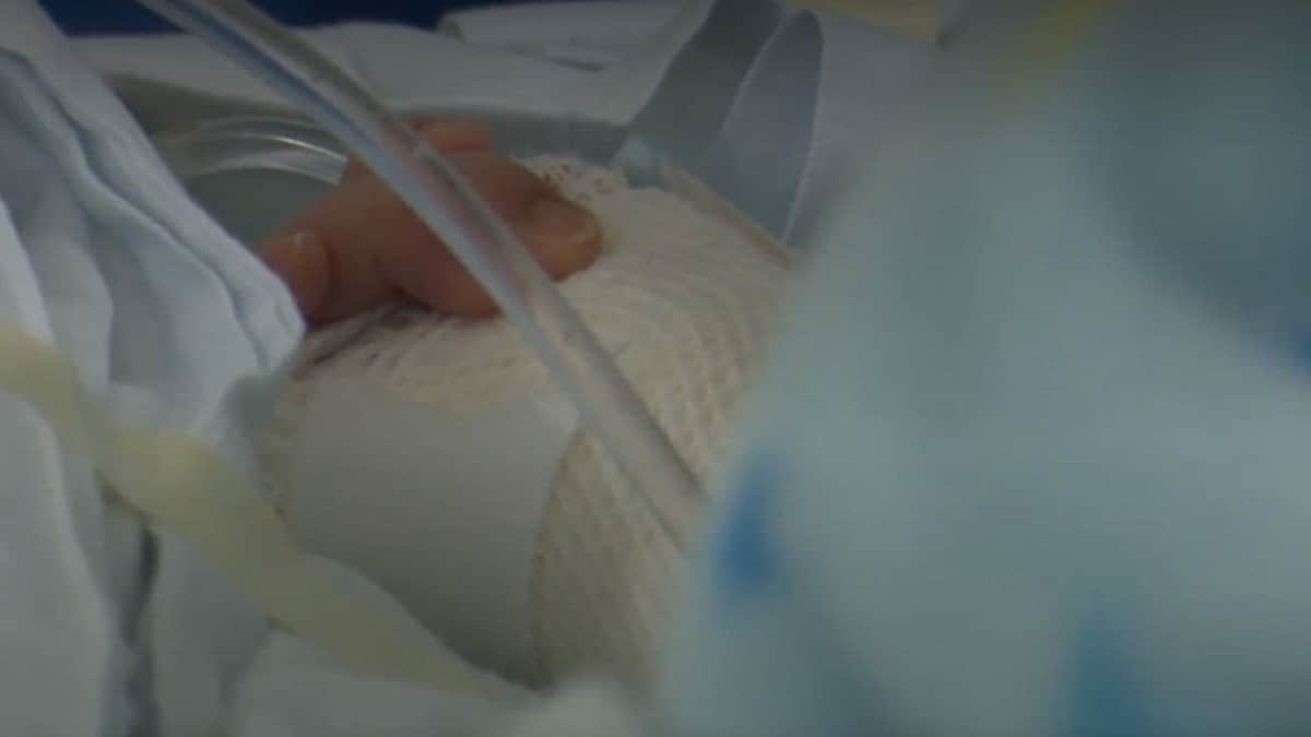 Niño pierde su brazo al meter la mano a un molino de carne en Tlajomulco