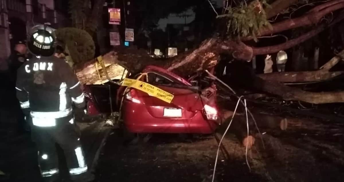 Muere joven aplastada al desplomarse un árbol por intensa lluvia en CDMX