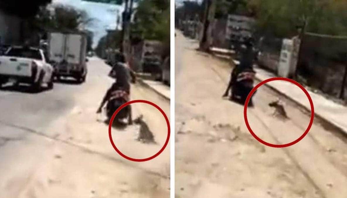 VIDEO: Graban a un sujeto que arrastra con la moto a un perro en Yucatán
