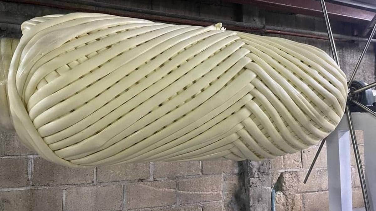 Chiapas va por el Récord Guinness del quesillo más grande del mundo en Pijijiapan