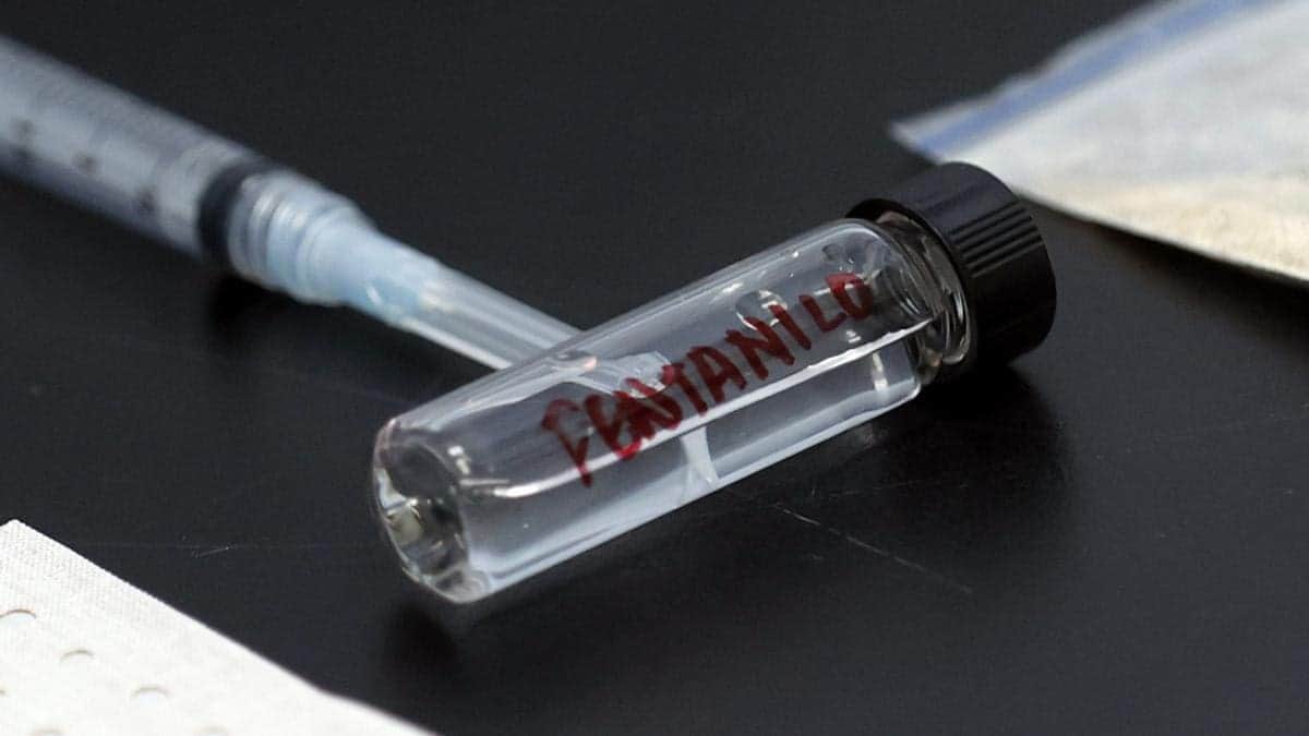 El fentanilo ya supone el 81 % de las muertes por sobredosis en Nueva York
