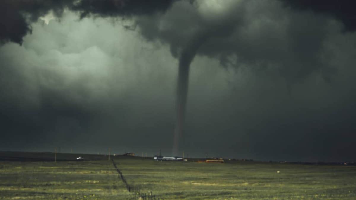 Encuentran vivo a un bebé en un árbol tras ser arrastrado por un tornado