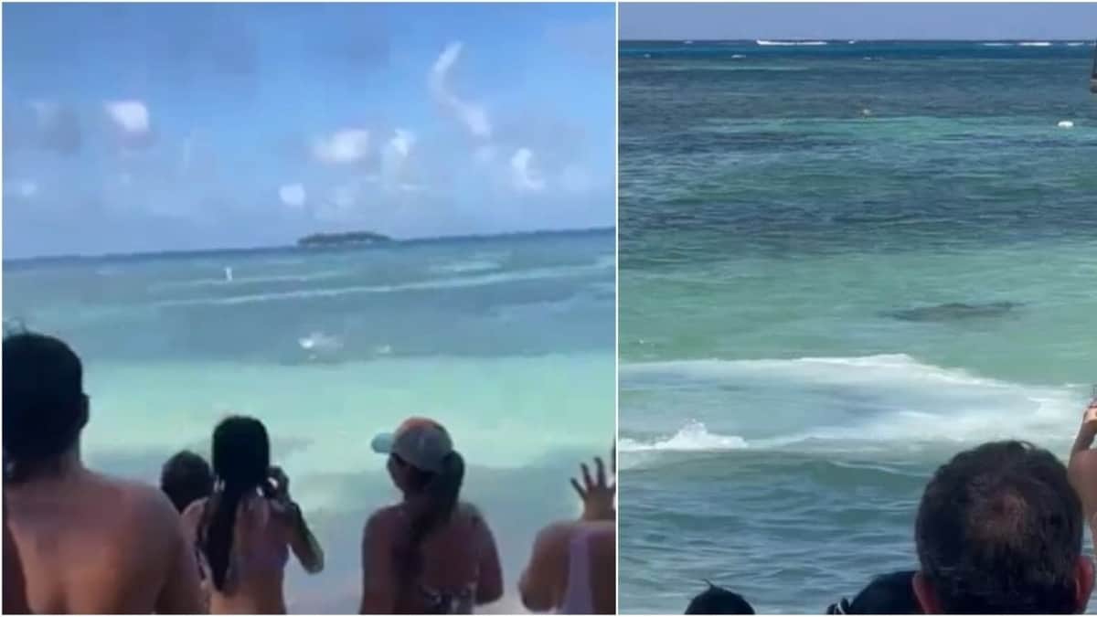 VIDEO: Captan aterrador momento en que un tiburón sorprende a turistas en el mar de Colombia