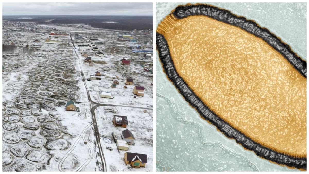 Advierten sobre 'virus zombis' del Ártico que podrían provocar una nueva y mortal pandemia