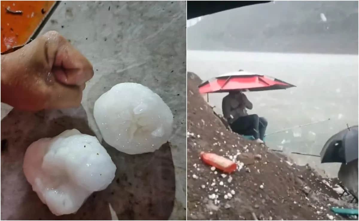 VIDEO: Granizos gigantes causan daños en casas y zonas agrícolas en China