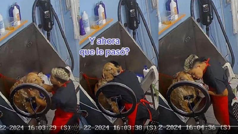 Video: Empleado de estética canina causa ternura tras cantar a todo pulmón mientras baña a perrito