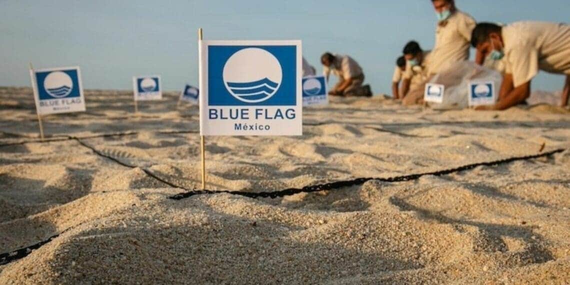 Arrasa Quintana Roo con los distintivos Blue Flag 2024-2024