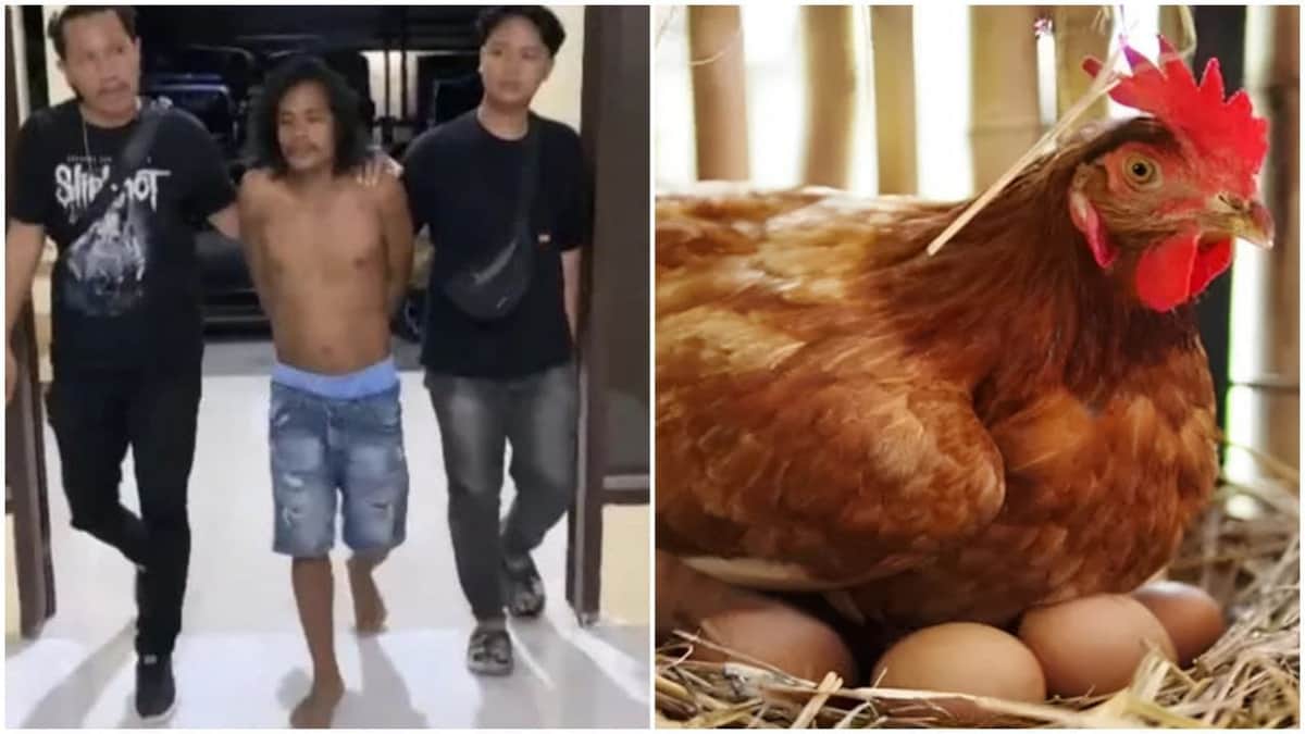 Hombre mata a su amigo en Indonesia por debatir si fue primero el huevo o la gallina