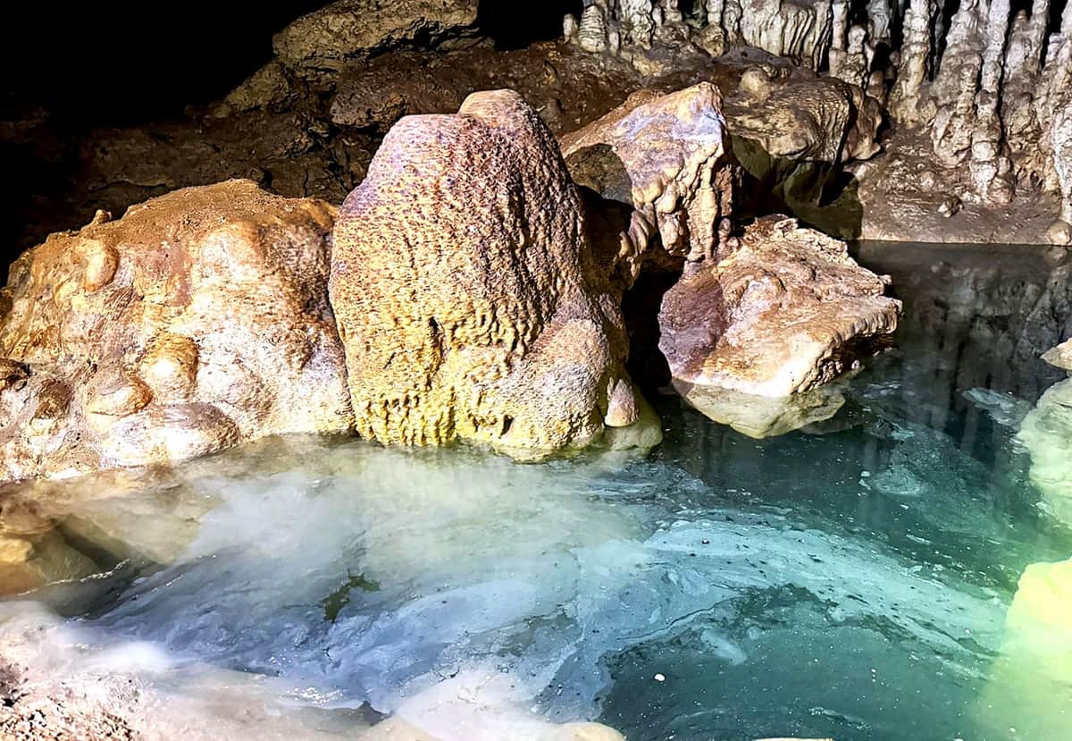 Video: Dificultades legales retrasan al Tren Maya; costo creció por “cártel de ampareros”, según la Sectur