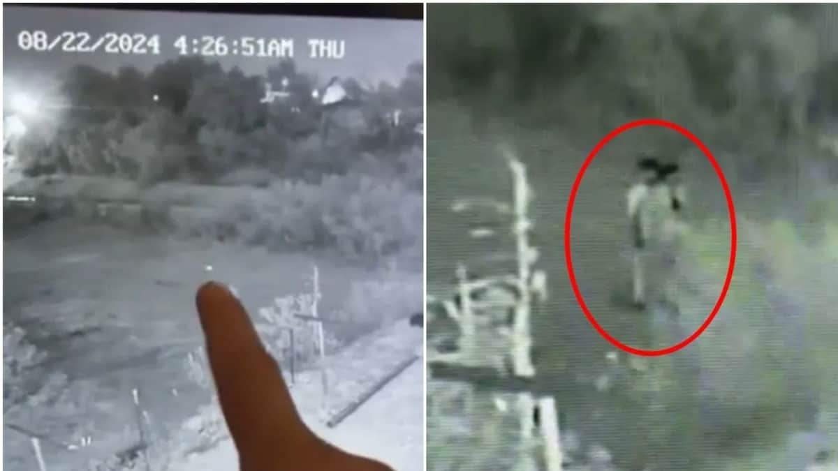 Video: Captan esfera de luz que se transforma en dos niños en México