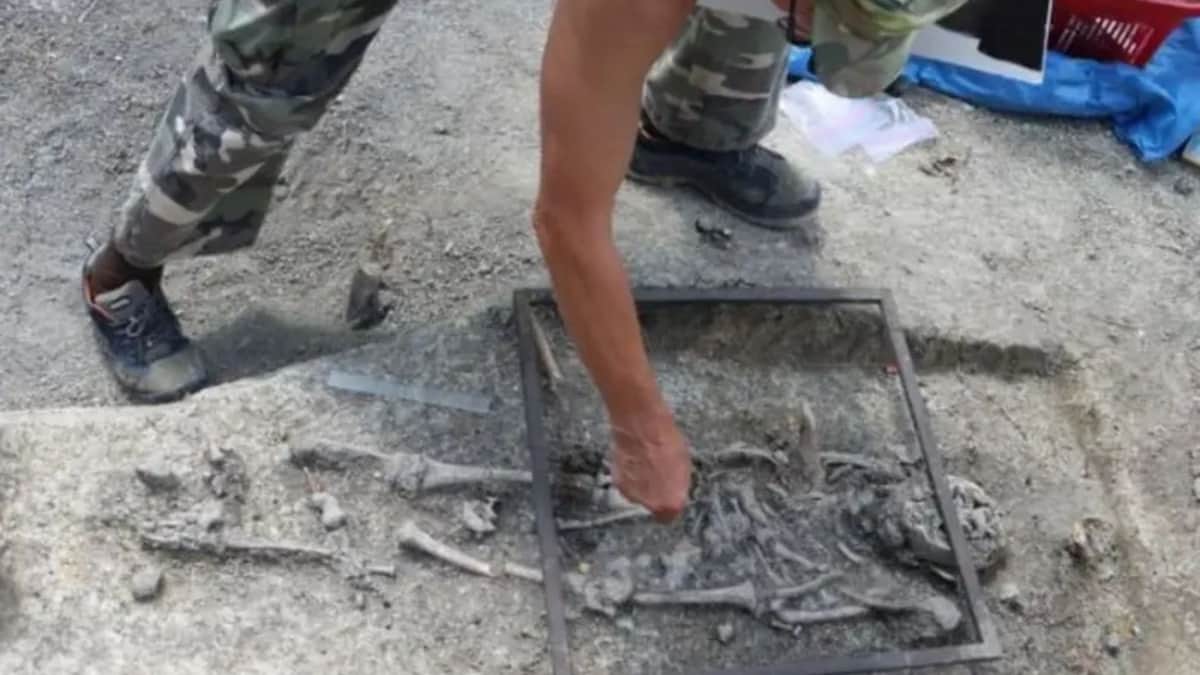 Arqueólogos hallan restos de "niños vampiro" en Polonia