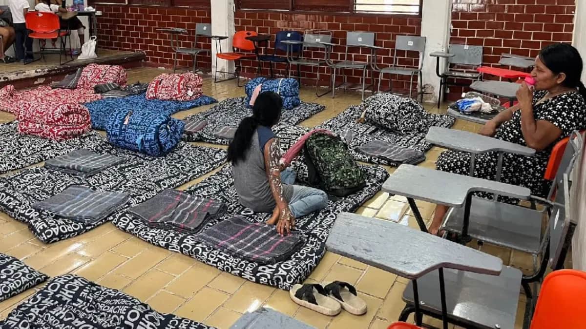 Habilitan más de 100 refugios en Quintana Roo por ciclón "Nueve", incluidos tres para mascotas