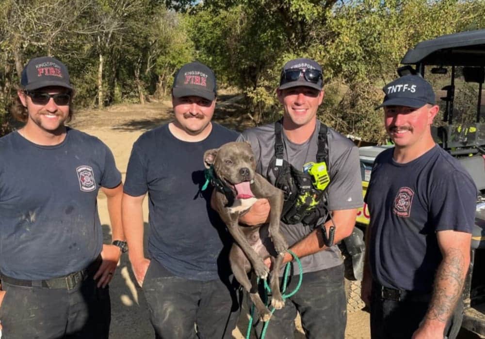 Video: Perro se reencontró con sus dueños tras ser separados por un huracán en Estados Unidos