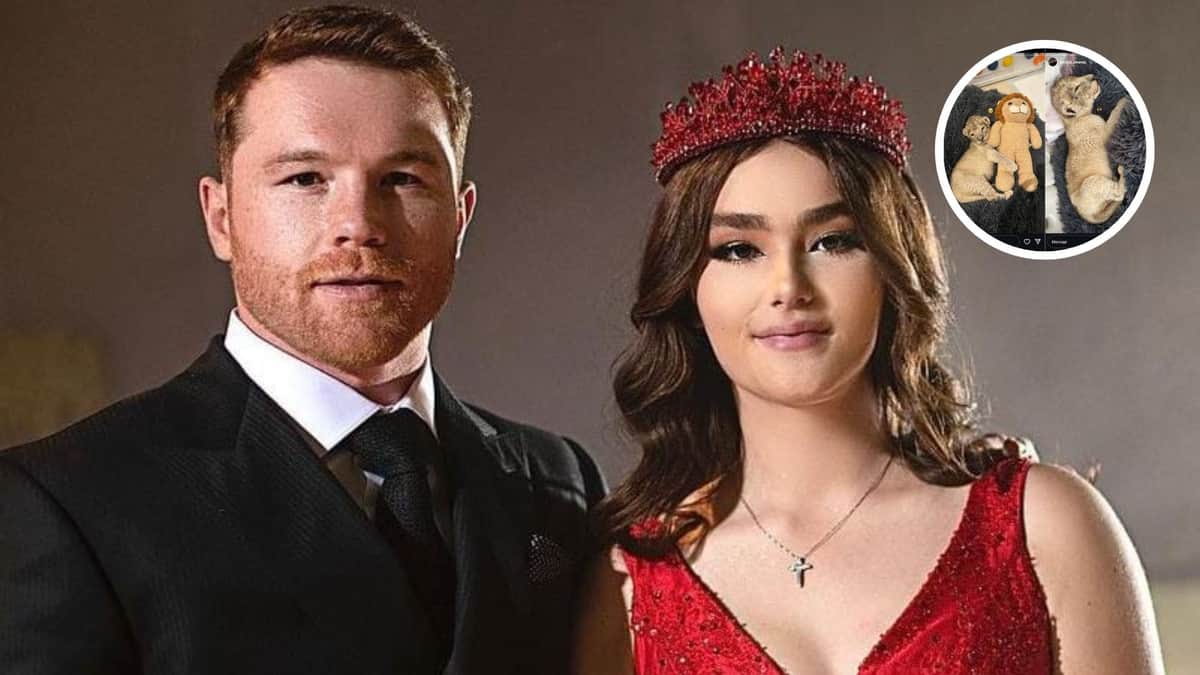 Internautas tunden al "Canelo" Álvarez por culpa de su hija; presumió que tiene un león como mascota