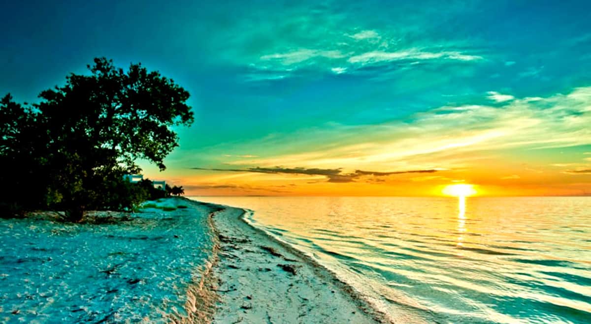 Declaran a la isla de Holbox en emergencia sanitaria y ambiental