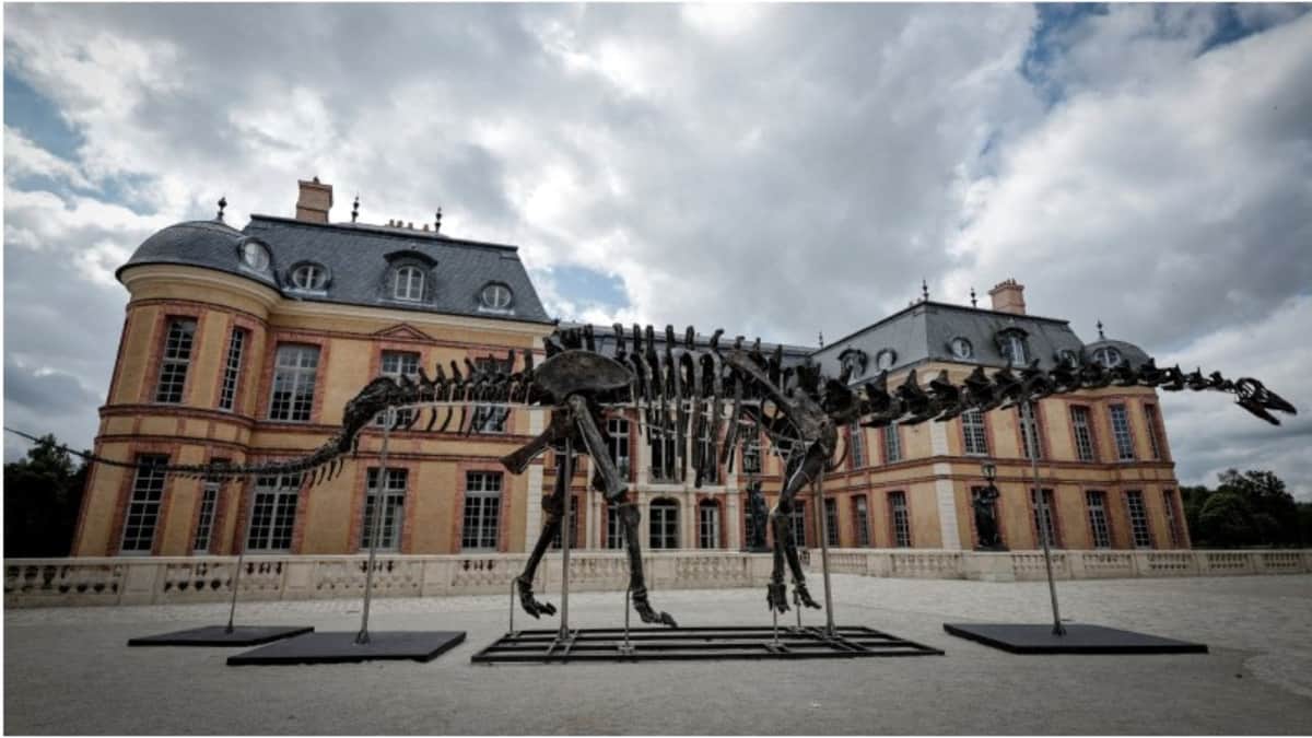 Esqueleto gigante de dinosaurio es subastado en más de 6.3 mdd en Francia