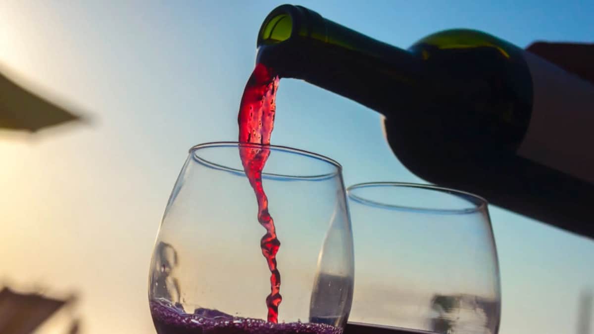 Inteligencia Artificial revela cuál es el mejor vino tinto mexicano