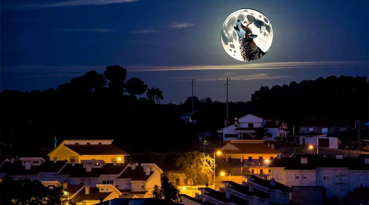 Video: Llega el primer evento astronómico del año en México: la “Luna del Lobo”