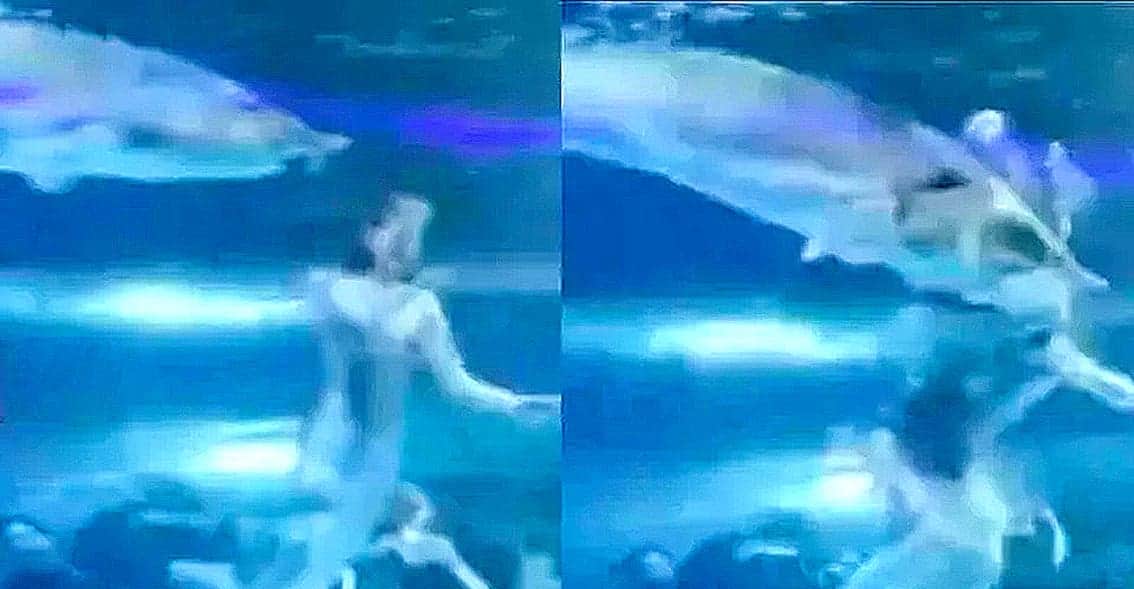 Video: Ataca colosal pez a una mujer en un acuario de China