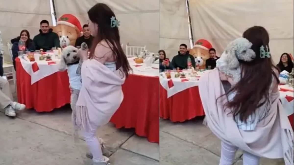 Video: Perrito se escapa de su casa y se cuela a la fiesta del vecino, en México