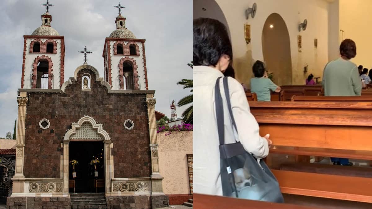 Video: Mujer lleva a su perrito a la iglesia para escuchar la misa