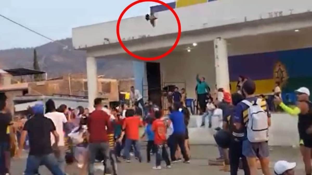 Video: Tradición purépecha en Michoacán causa indignación entre animalistas; implica destrozar una gallina