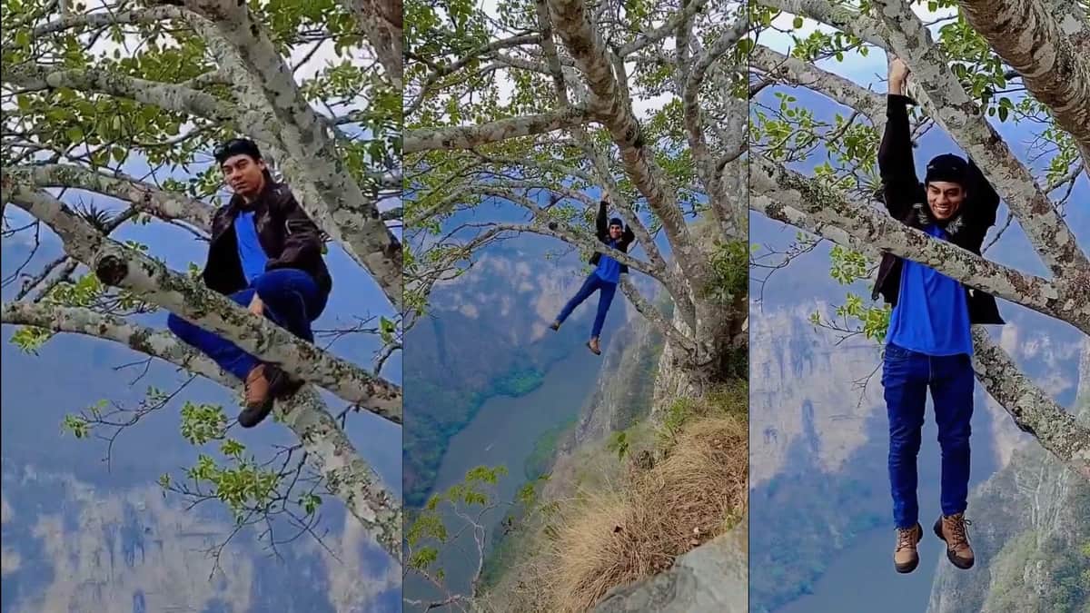 Video: Youtuber se cuelga de un árbol en la orilla de un acantilado en el Cañón del Sumidero en Chiapas