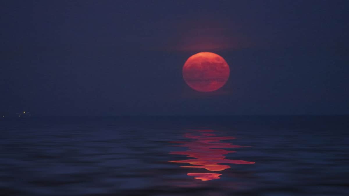 Luna de Fresa iluminará el cielo este junio en México, ¿qué es y cuándo verla?