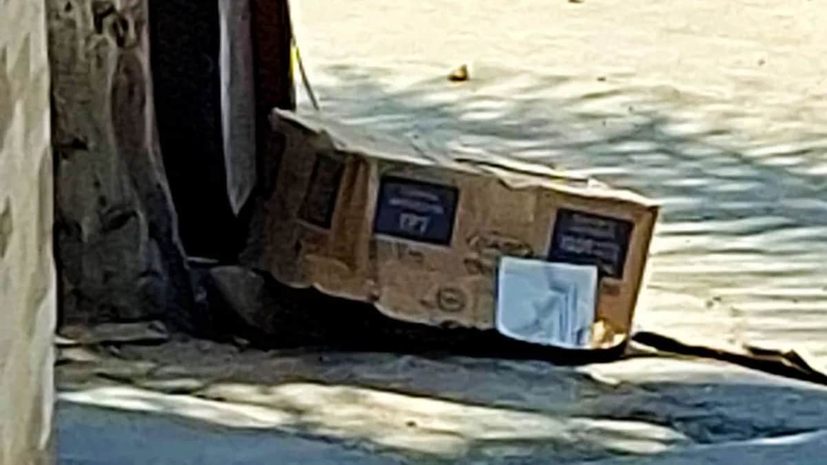 Abandonan a feto junto a un árbol y lo cubren con una caja en León, Guanajuato