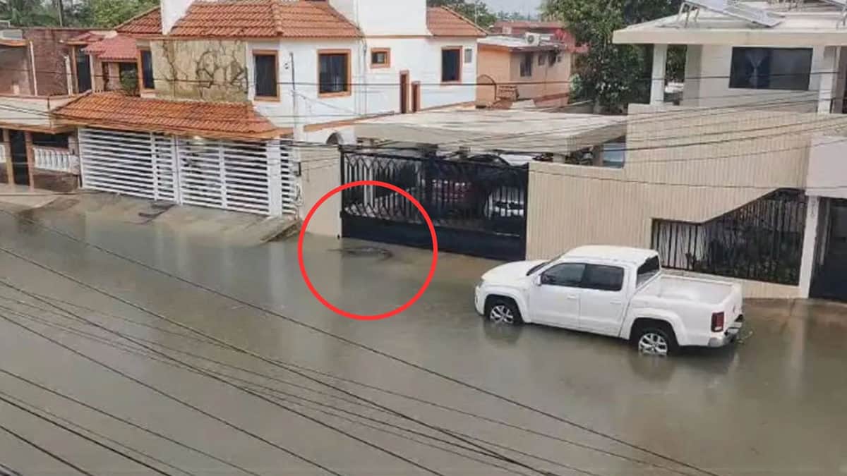Video: Hallan a cocodrilo nadando en calles de Ciudad Madero, Tamaulipas tras intensas lluvias
