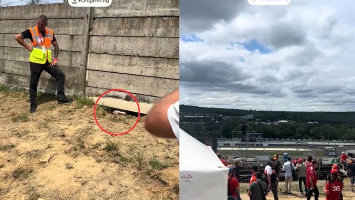 Video: Aficionados cavaron un hoyo en la tierra para intentar ingresar al Gran Premio de Hungría