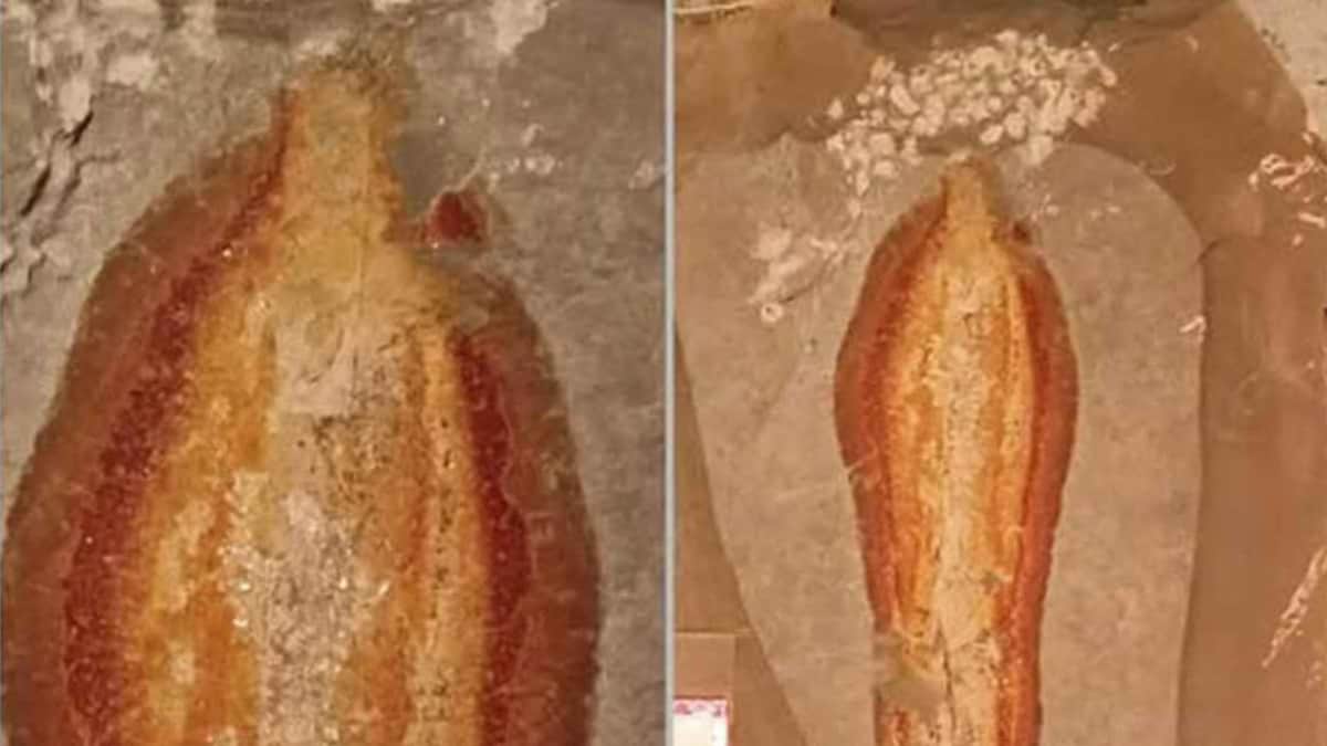 Hallan piedra con silueta de la Virgen de  Guadalupe y le ponen su altar en Chiapas