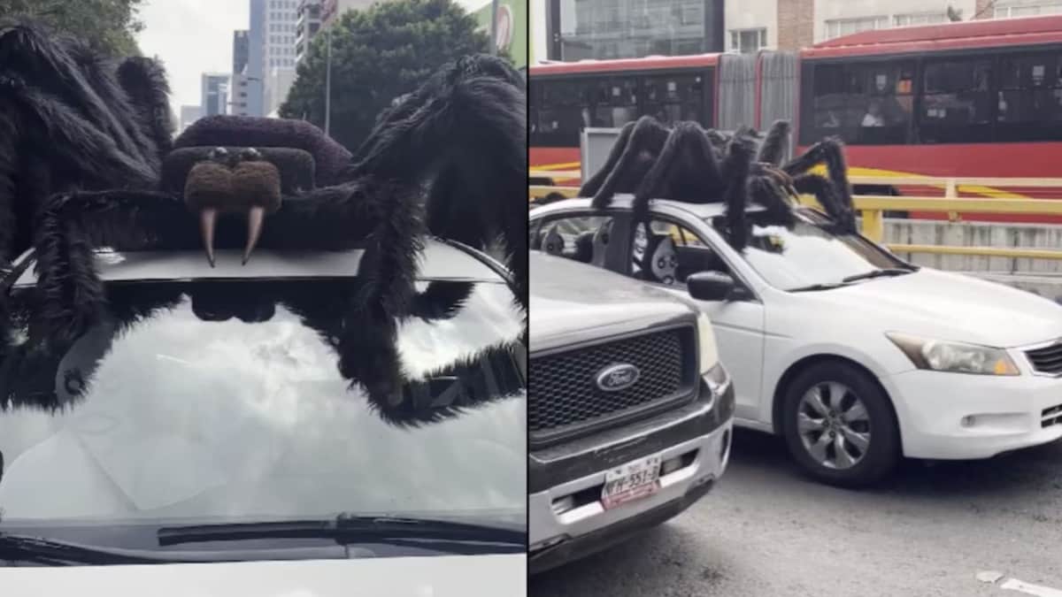 Video: Hombre adorna su auto con araña bailarina para celebrar el Día de Muertos en CDMX