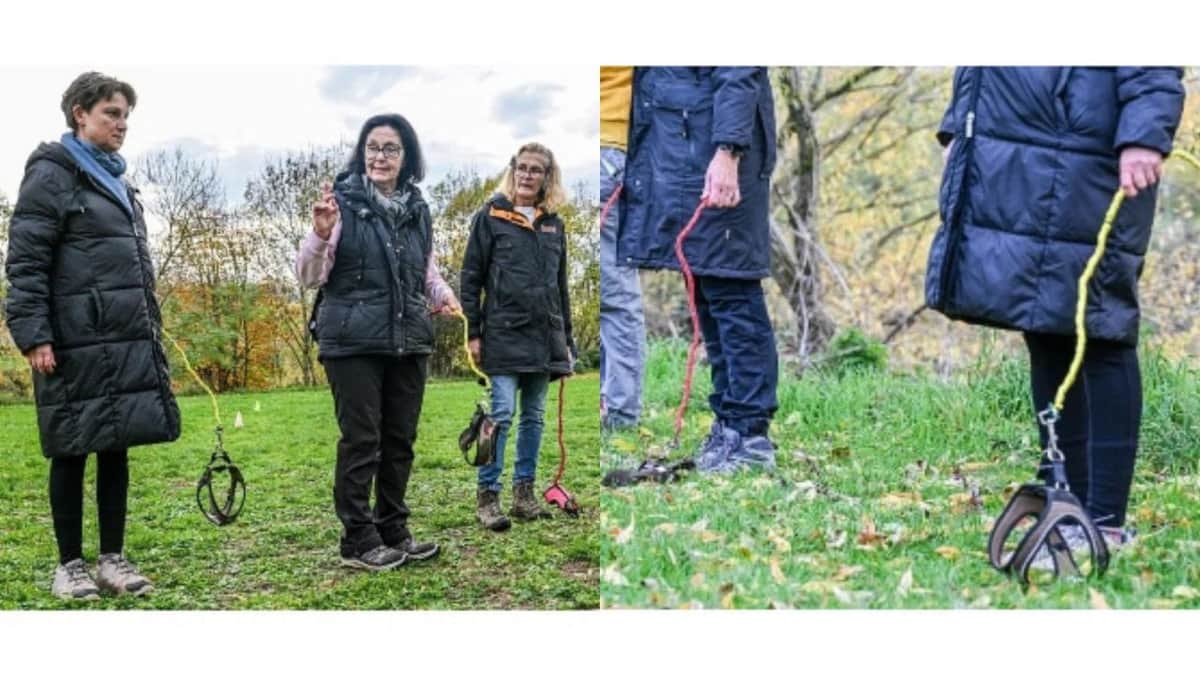 Video: “Hobby Dogging", la nueva moda de pasear perros imaginarios en Alemania